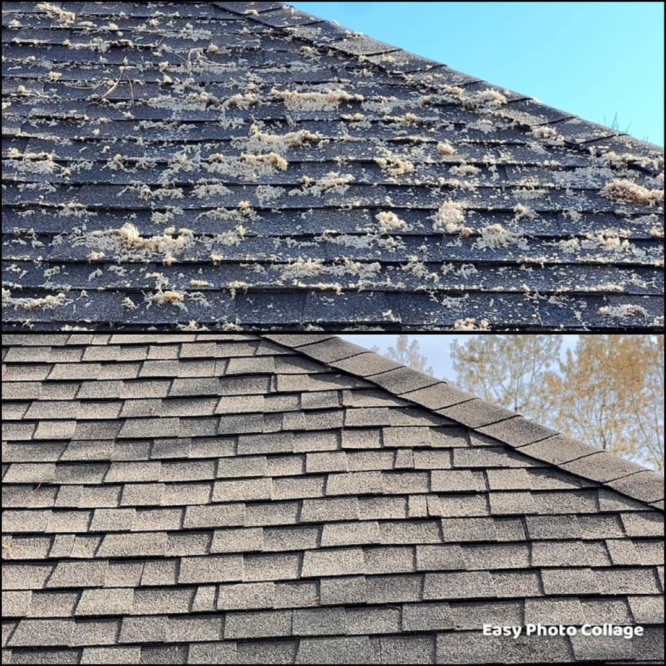 roof moss removal company north ridgeville ohio