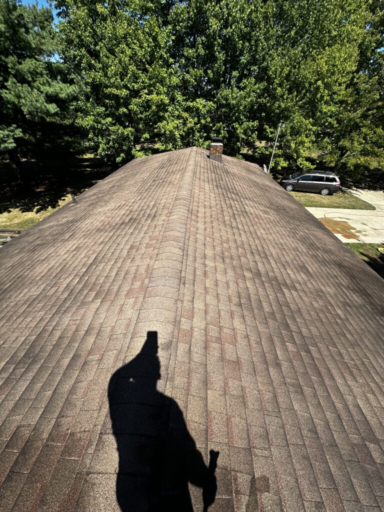 roof moss removal north ridgeville ohio